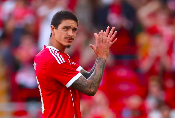 gg, 并祝福他未, http